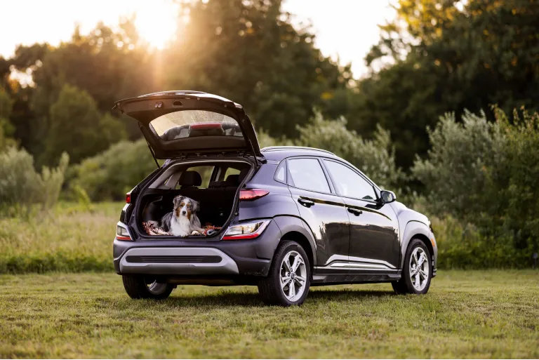 How to Book a Budget Car Rental Jonesboro?