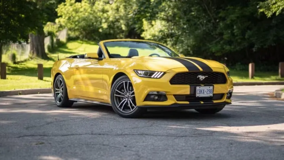 Best Options for Rental Cars in Burlington