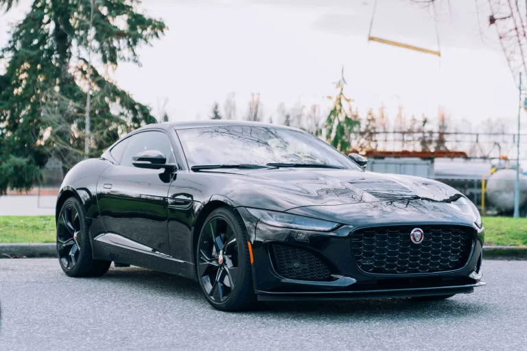 Is There an Option for Car Rental Alexandria?